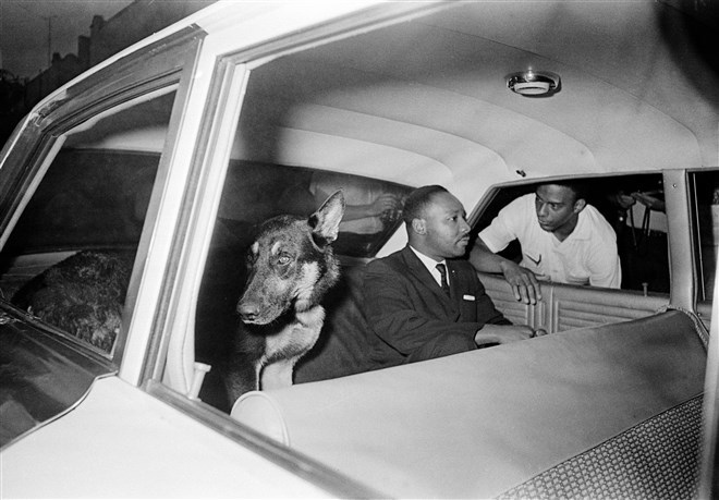 những hình ảnh đáng nhớ trong cuộc đời nhà hoạt động nhân quyền luther king hình ảnh 12 nhung hinh anh dang nho trong cuoc doi nha hoat dong nhan quyen luther king hinh anh 12