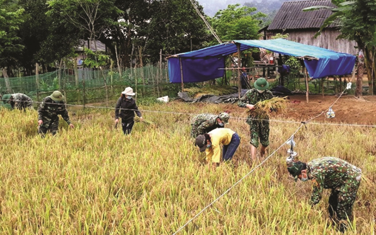 bo tu lenh bien phong tham, chuc tet vung bien gioi khu vuc mien trung hinh anh 1