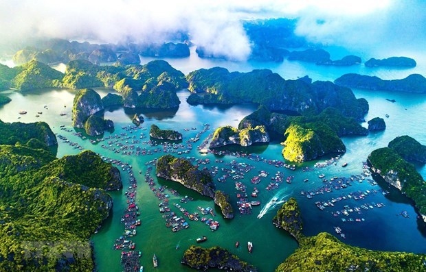 ha long bay-cat ba archipelago to seek world heritage recognition picture 1