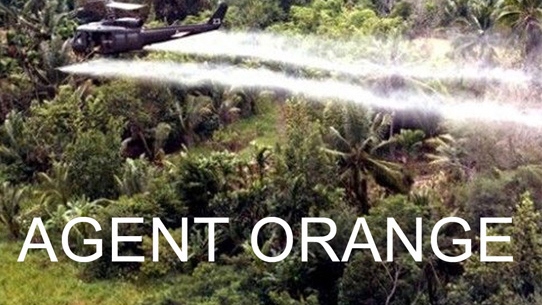german newspaper highlights ao impact on generations of vietnamese picture 1