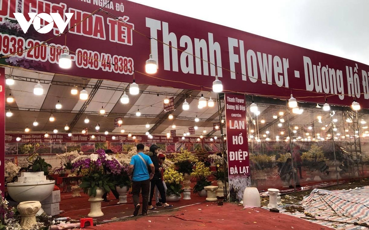 hanoi poised to host 89 flower markets in build up to tet picture 1