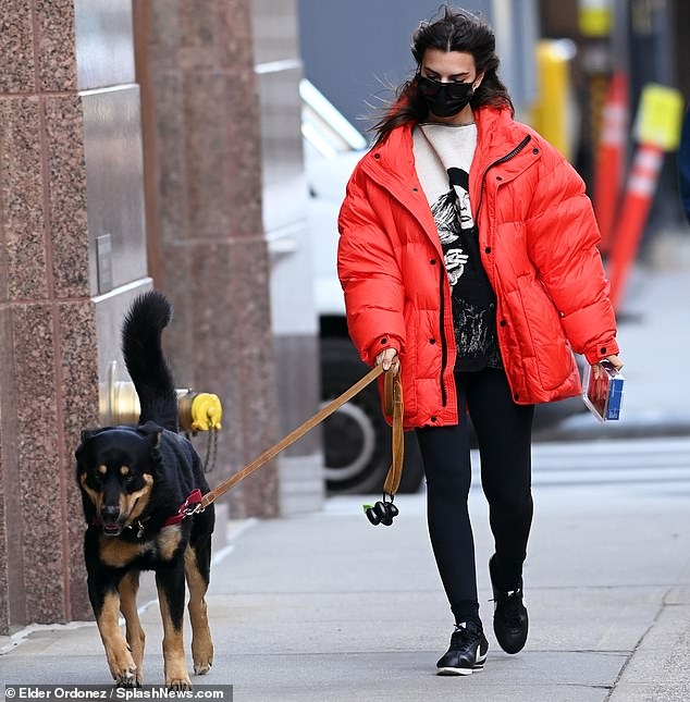 emily ratajkowski cung chong dat thu cung ra pho di dao hinh anh 6