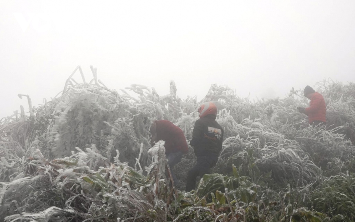 northern province copes with extreme cold spell picture 1
