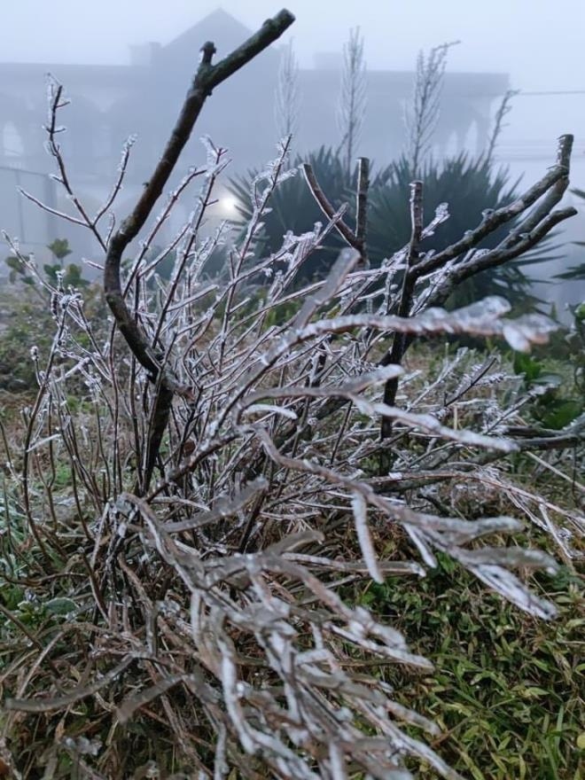 mau son mt peak covered in frost as temperature drops to minus 1 picture 8
