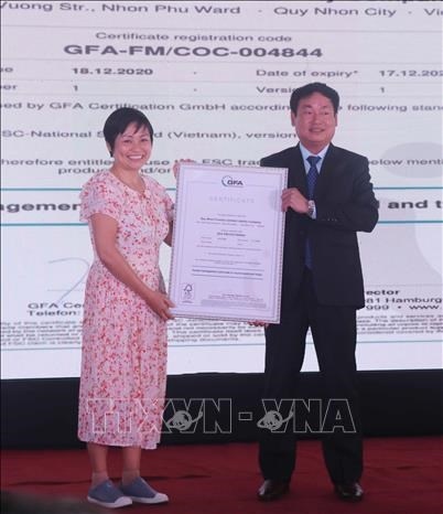 binh dinh nearly 4,200 ha of forests certificated by fsc picture 1