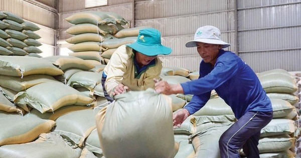 vietnam rice exports to the philippines reached over us 1 billion picture 1