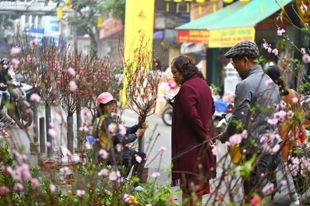 hanoi postpones many cultural activities due to covid-19 picture 1