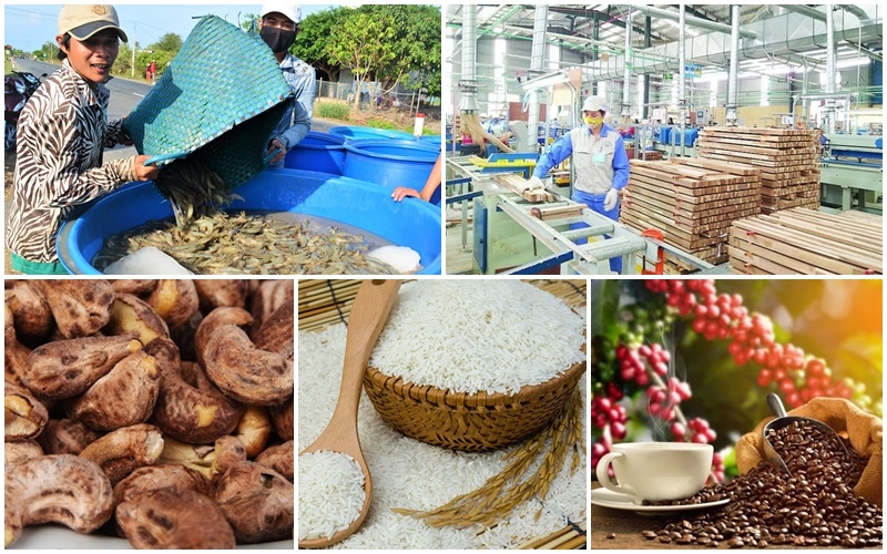 Nong san xuat khau: Hấp dẫn với hình ảnh về nông sản Việt Nam sang trọng và đẳng cấp được sản xuất xuất khẩu chất lượng cao.