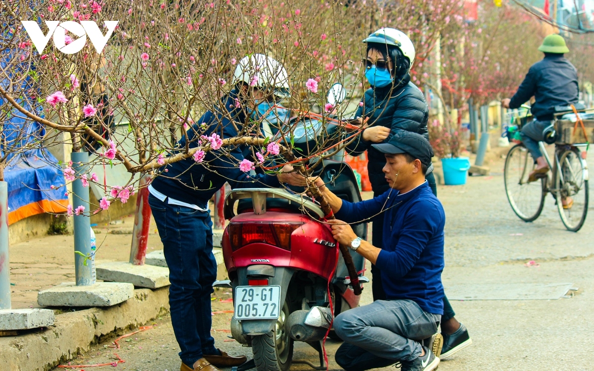 bustling flower market ahead of lunar new year holiday picture 3