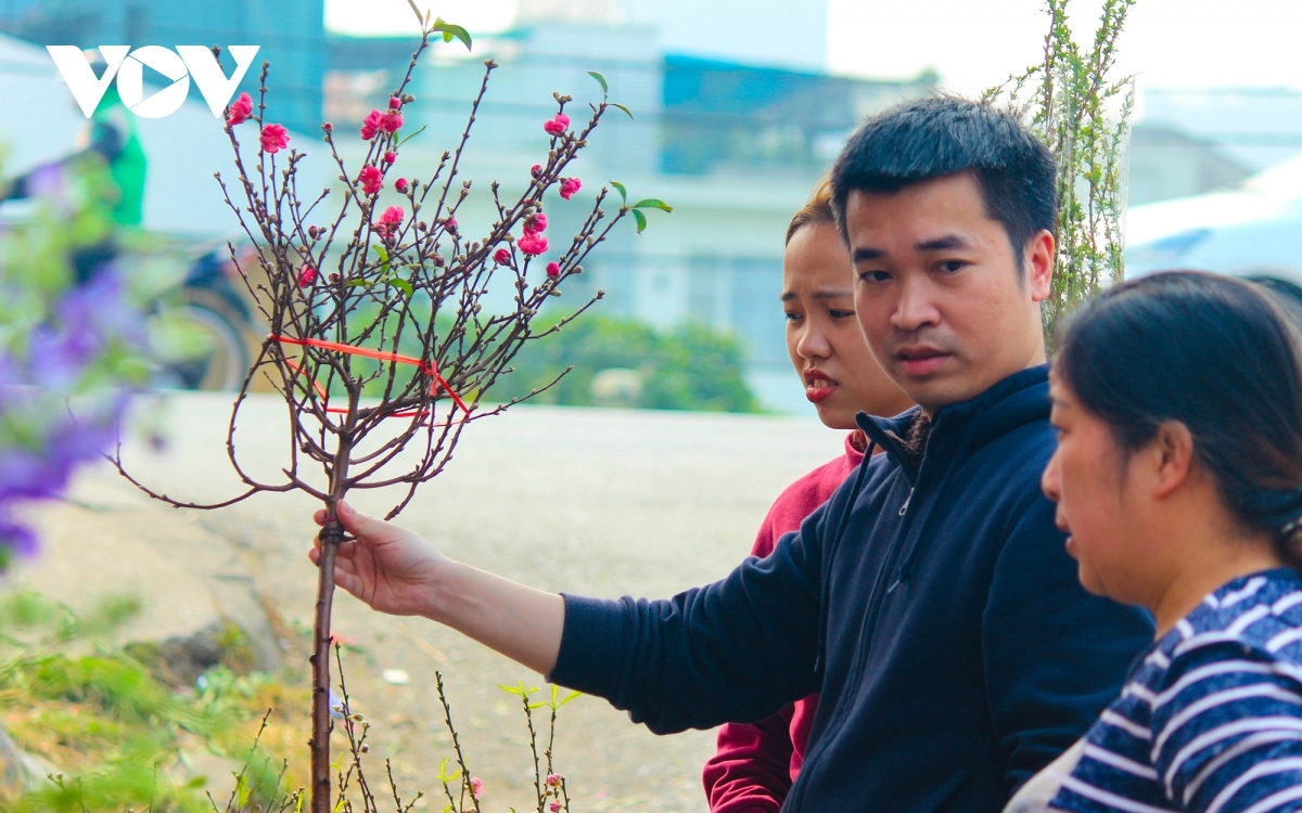 bustling flower market ahead of lunar new year holiday picture 6