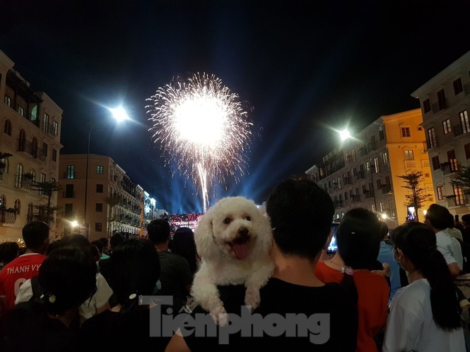 brilliant firework show celebrates launch of phu quoc island city picture 5