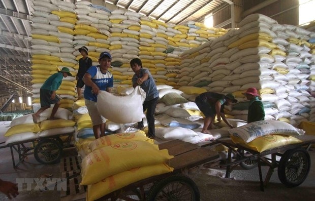 vietnam to export 1,600 tonnes of rice at high price to singapore, malaysia picture 1