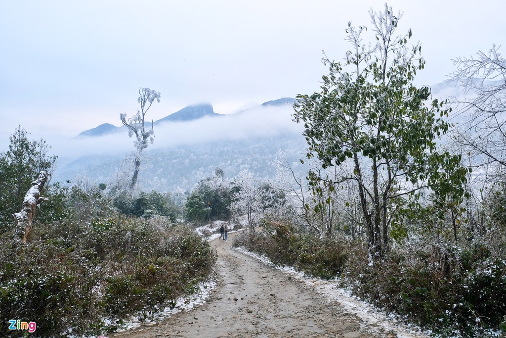 tourists rush to northern commune to snap photos with snow picture 9