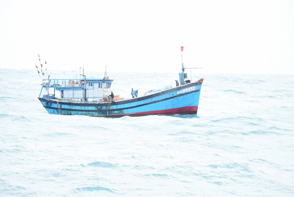 tau kiem ngu cuu nan tau ca Da nang bi nan tren bien hinh anh 2