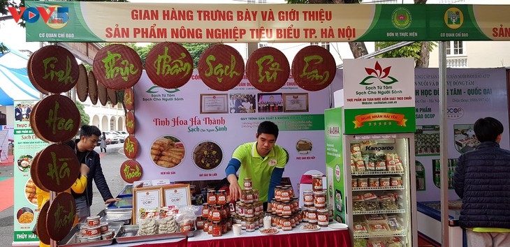 hanoi takes the lead in building agricultural production chains picture 1