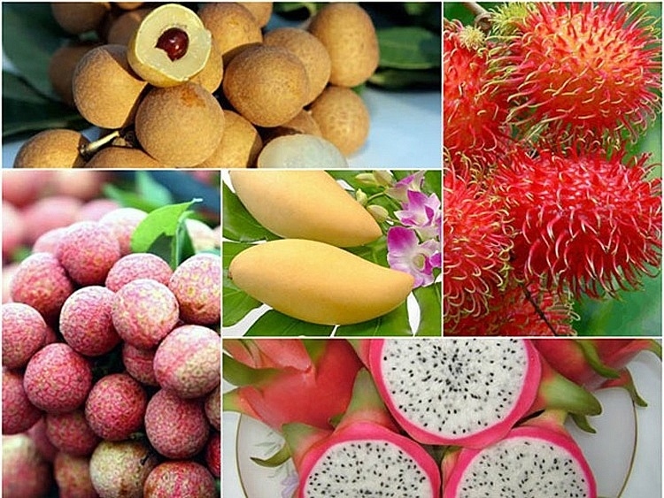 fruit, nut exports to demanding markets enjoy growth picture 1