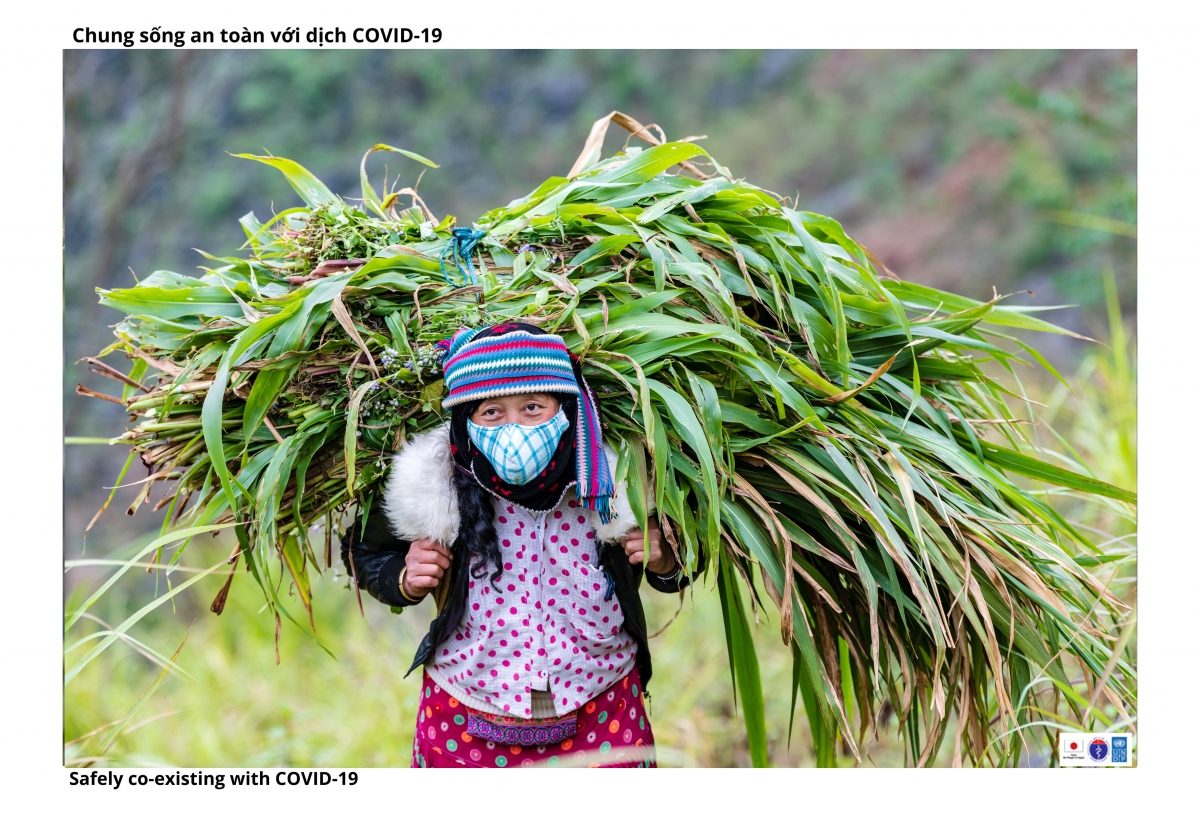 vẻ đẹp bình dị của đồng bào hà giang trong lao động và phòng dịch hình ảnh 2 ve dep binh di cua dong bao ha giang trong lao dong va phong dich hinh anh 2