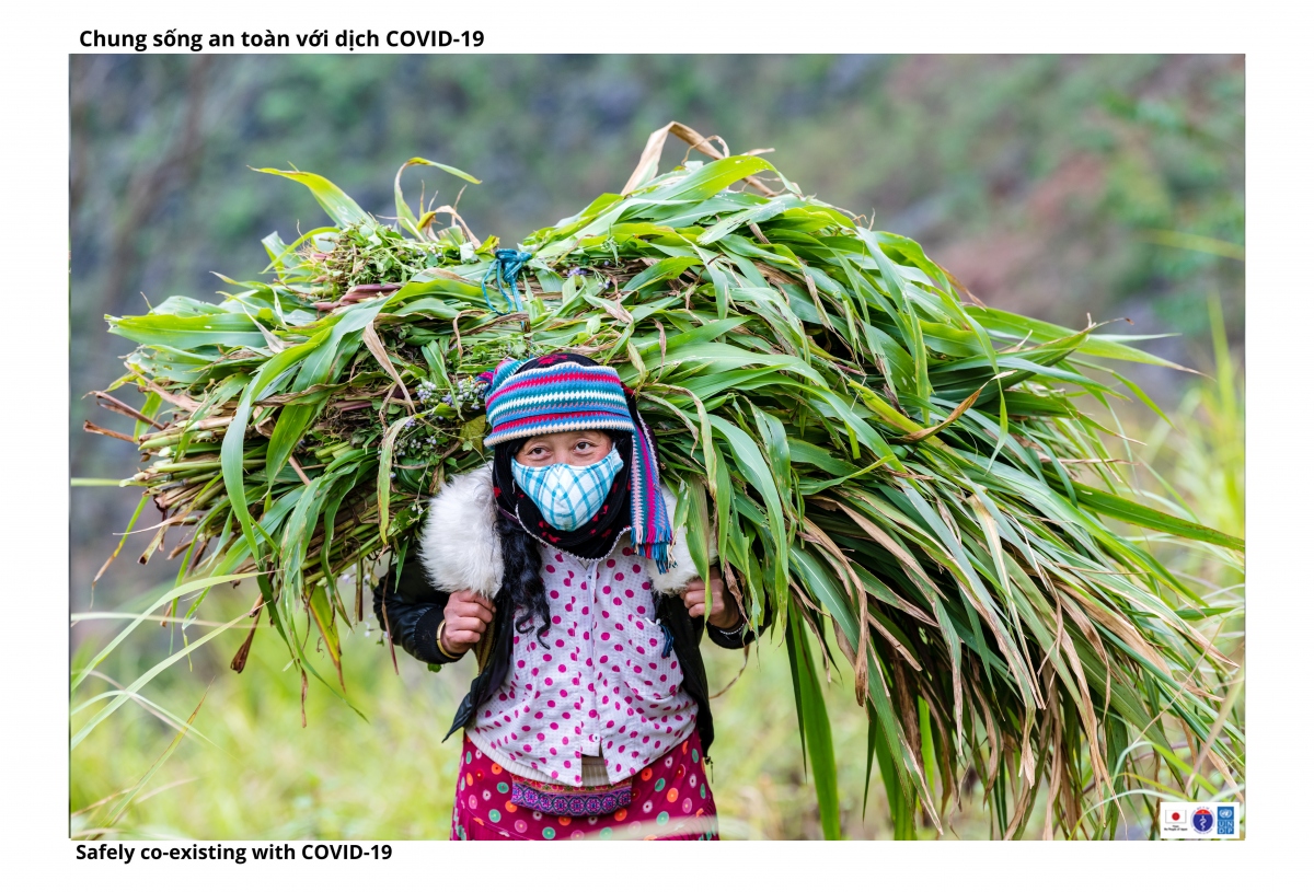 ve dep binh di cua dong bao ha giang trong lao dong va phong dich hinh anh 2