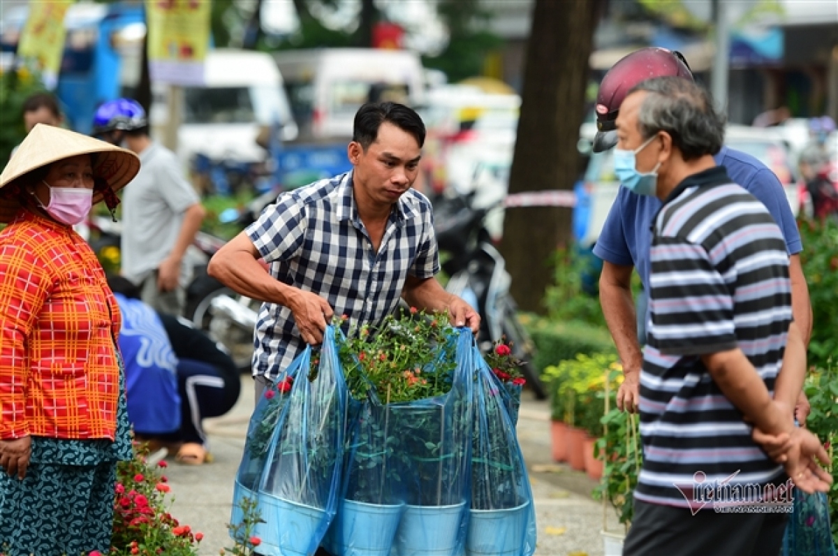 peach blossom sellers in hcm city worry amid poor sales picture 11