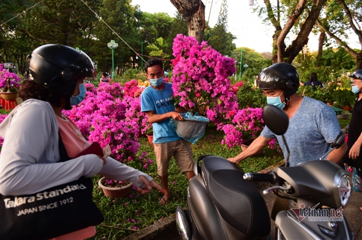 peach blossom sellers in hcm city worry amid poor sales picture 13