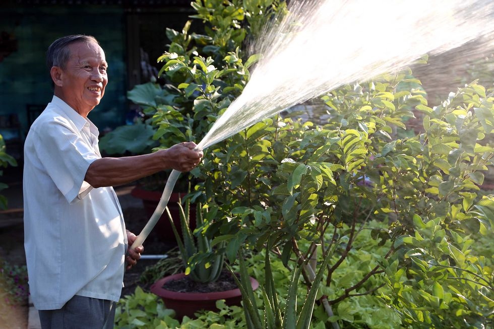 Nguyên Phó Thủ tướng Trương Vĩnh Trọng tưới rau làm vườn khi nghỉ hưu (ảnh chụp tháng 12/2016). - Ảnh: TNO