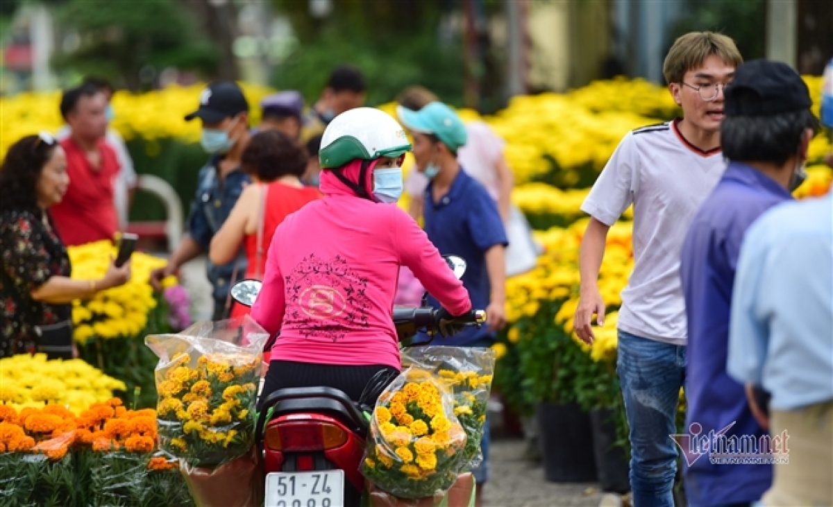 peach blossom sellers in hcm city worry amid poor sales picture 17