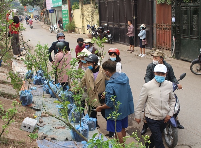 chan mua hoa buoi theo can, dan ha thanh vung tien lay ca cay lan chau hinh anh 2