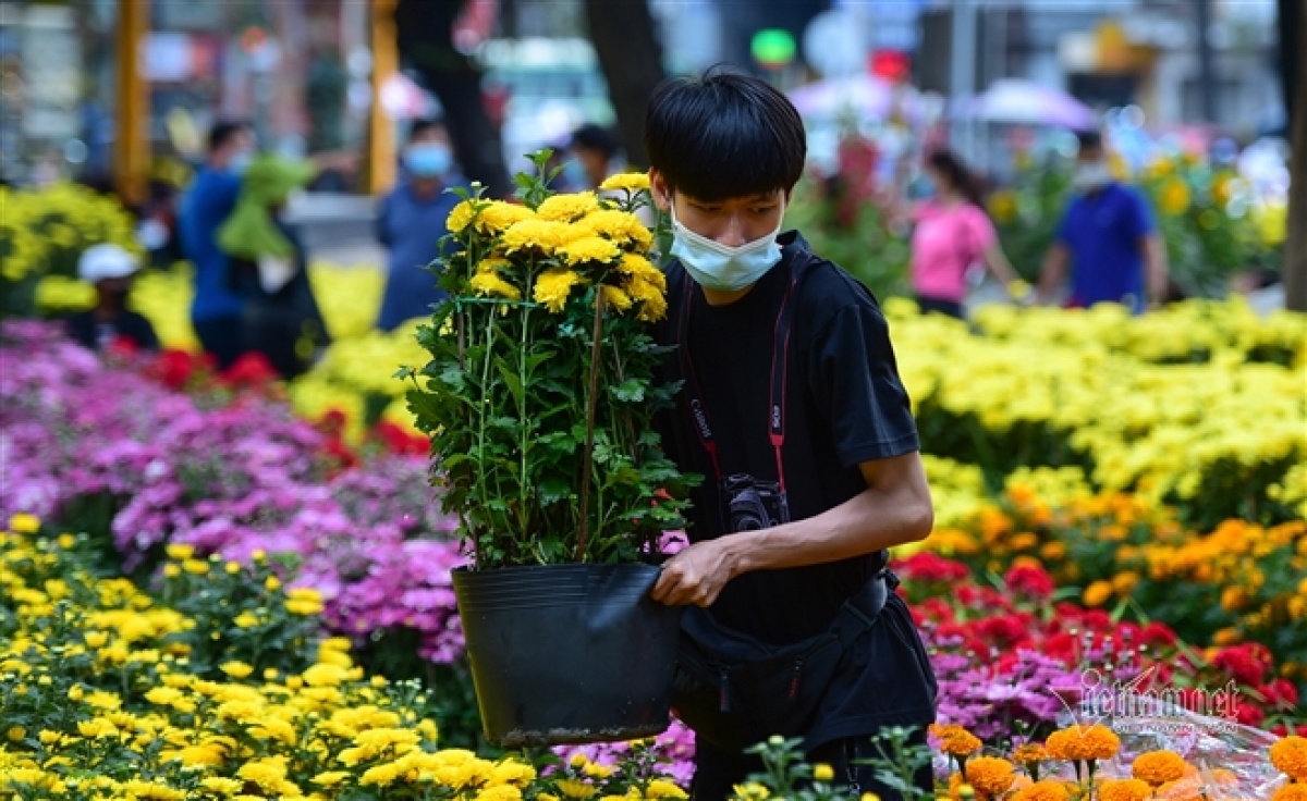 peach blossom sellers in hcm city worry amid poor sales picture 8