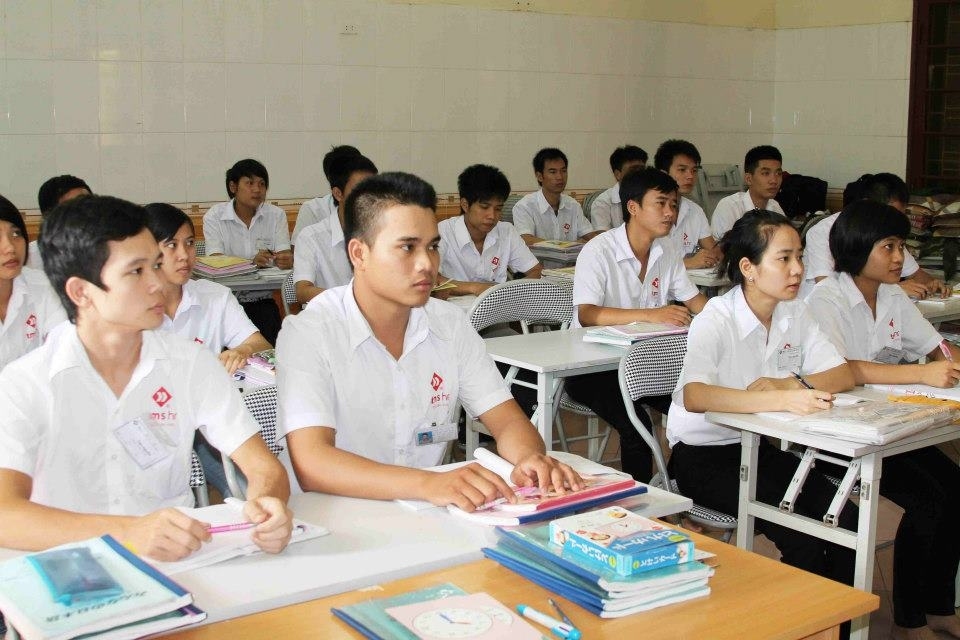 Vietnamese workers given long-term working opportunity in Japan
