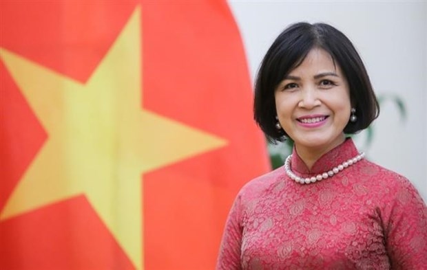 vietnam supports, congratulates new wto leader ambassador picture 1