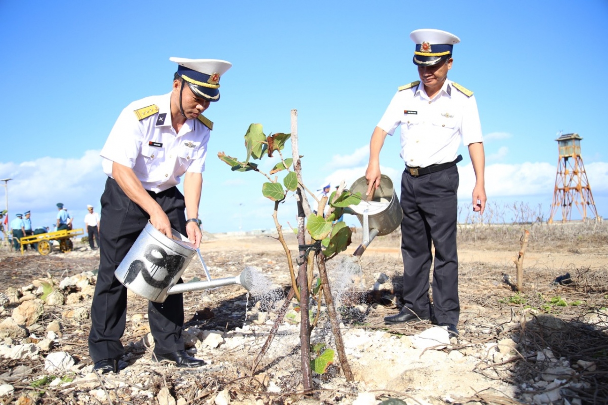 tu dat lien den dao xa huong ung tet trong cay dau nam tan suu hinh anh 1