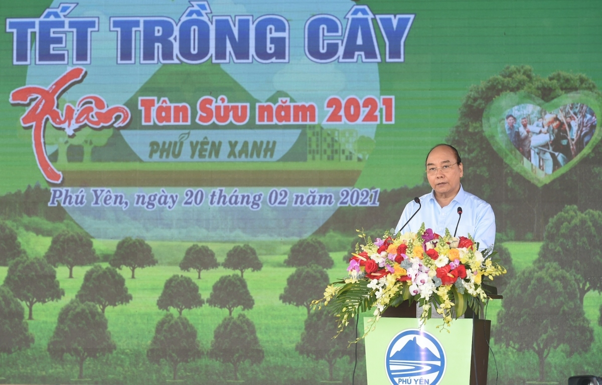 pm phuc launches tree-planting festival in central province of phu yen picture 1