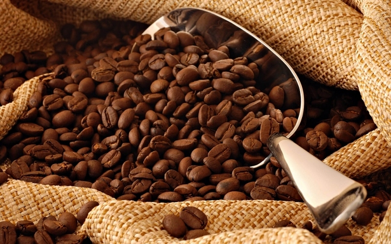 coffee sector to boost exports on evfta incentives picture 1