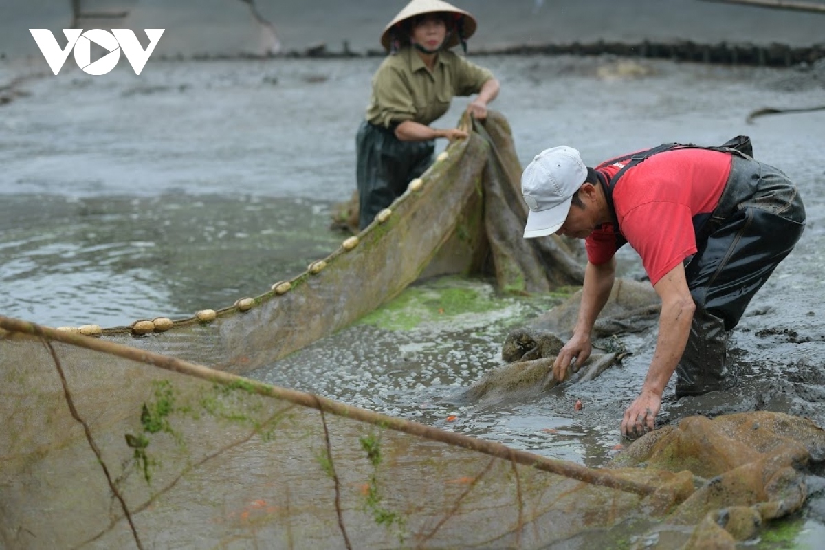 thuy tram carp village busy on kitchen gods day picture 1