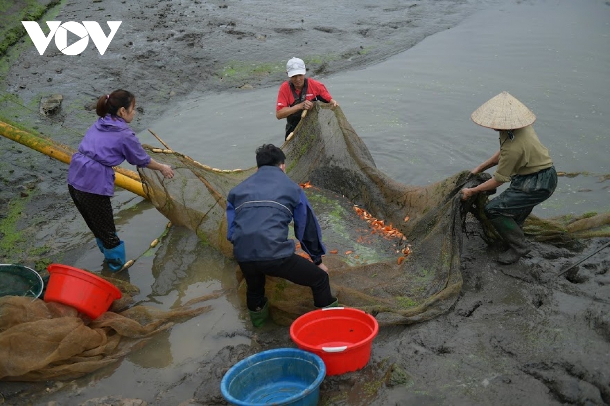 thuy tram carp village busy on kitchen gods day picture 10