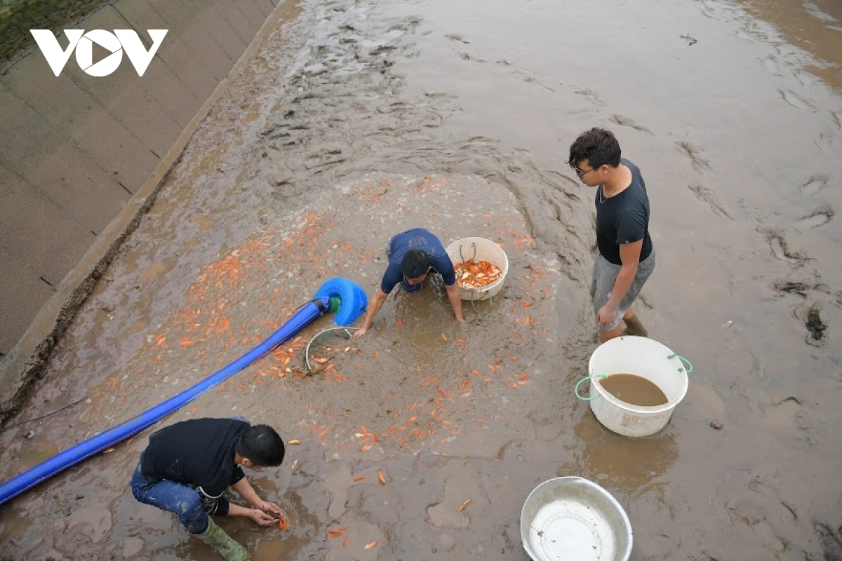 thuy tram carp village busy on kitchen gods day picture 14