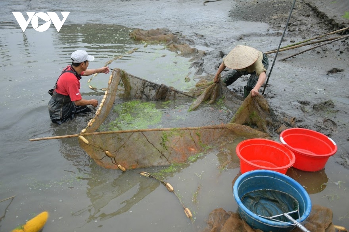 thuy tram carp village busy on kitchen gods day picture 3