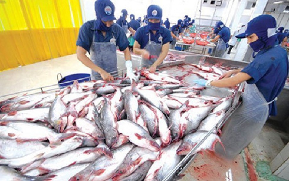 cambodia lifts ban on catfish imports from vietnam picture 1
