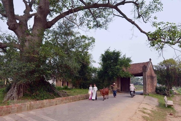 duong lam first vietnamese ancient village to become national relic picture 1