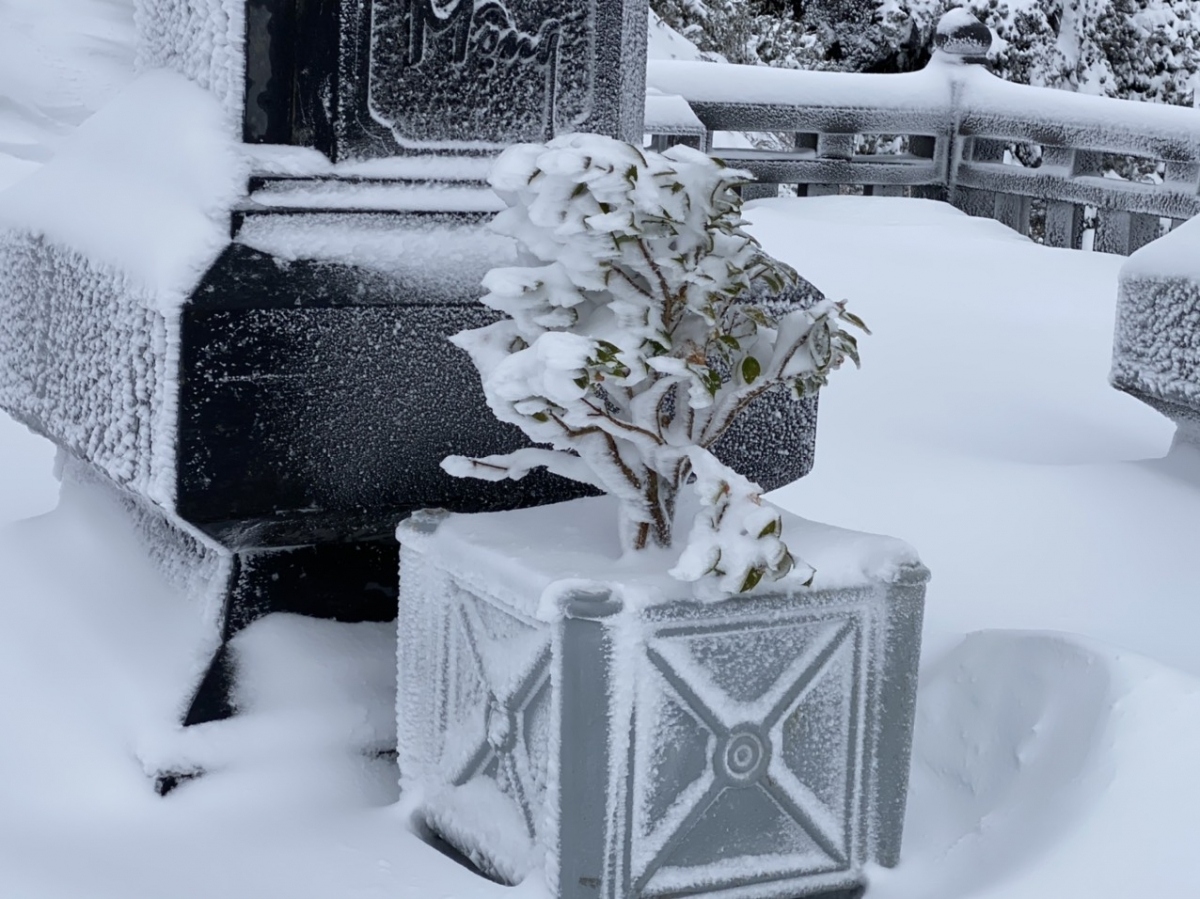 fansipan mt. in thick blanket of snow again as temperature falls to -3 picture 13