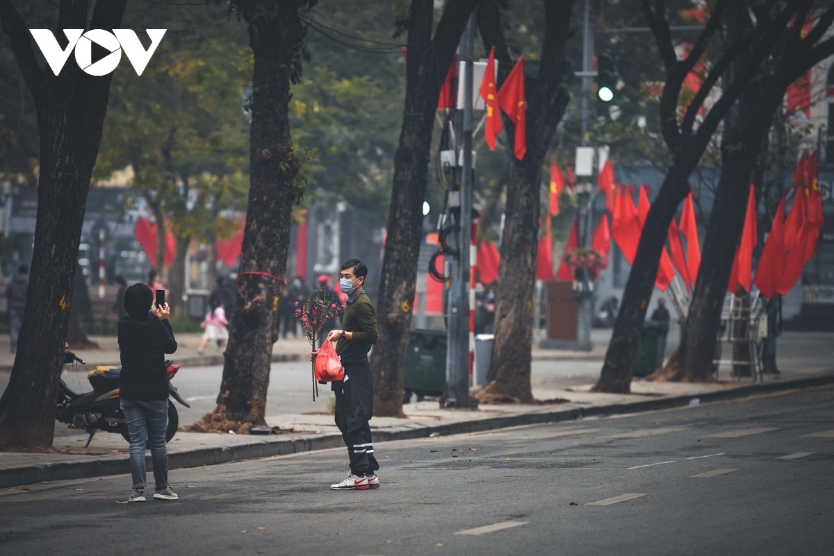 hanoi adorned with colourful peach flowers, kumquat trees ahead of tet picture 1