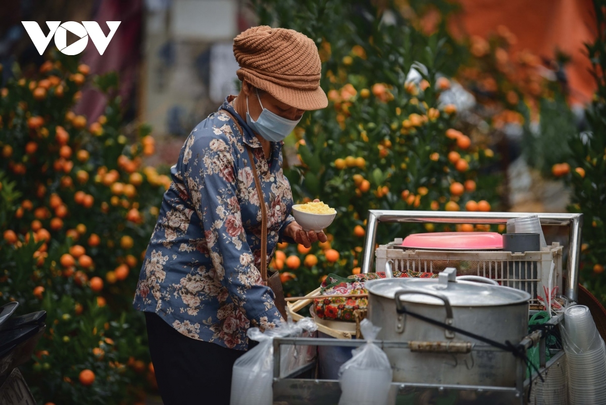 hanoi adorned with colourful peach flowers, kumquat trees ahead of tet picture 5