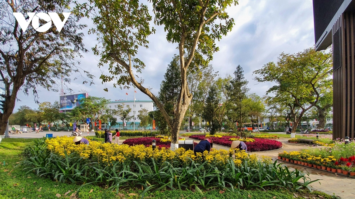 festive atmosphere of tet descends on ancient city of hue picture 2