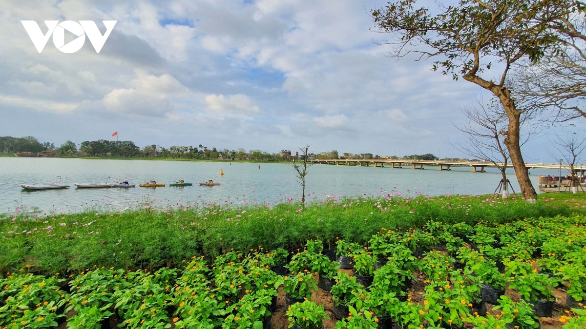 festive atmosphere of tet descends on ancient city of hue picture 5