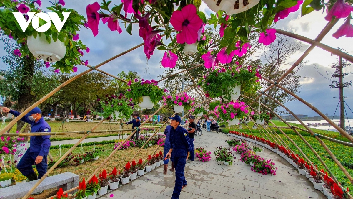 festive atmosphere of tet descends on ancient city of hue picture 9