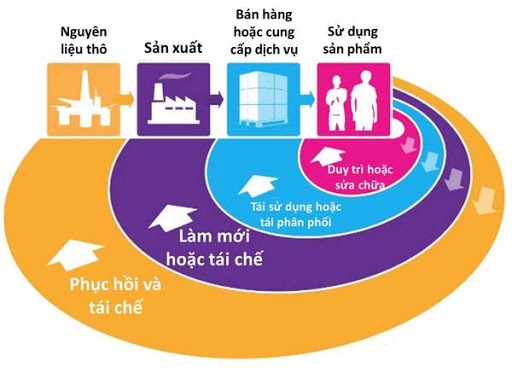 Đối phó với Covid-19, kinh tế tuần hoàn là một lựa chọn