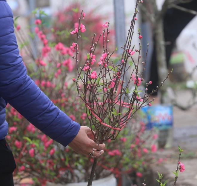 hanoians prepare flower offerings on 15th day of first lunar month picture 6