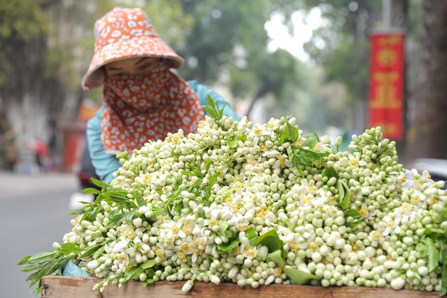 hanoians prepare flower offerings on 15th day of first lunar month picture 7