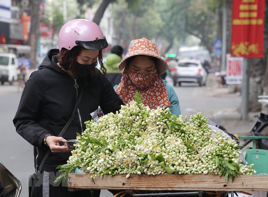 hanoians prepare flower offerings on 15th day of first lunar month picture 9