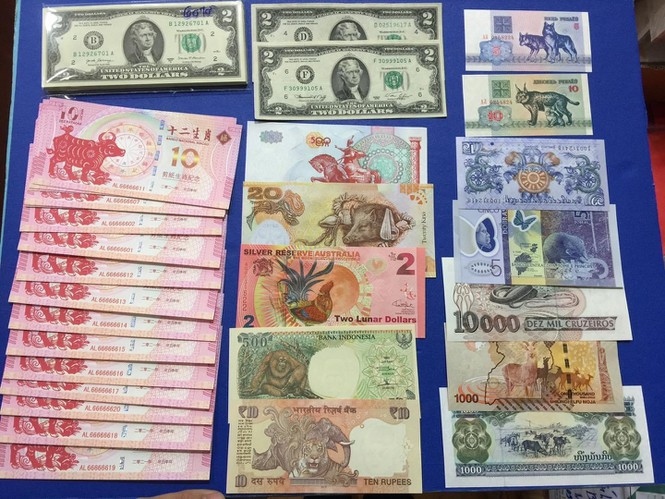 buffalo-themed paper money and coins go on sale picture 1